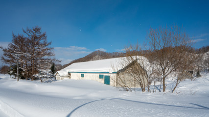 House With Snow Winter Landscape