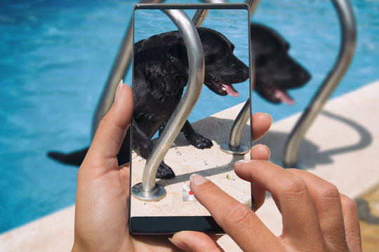 Woman photographing on cell phone happy dog in pool.
