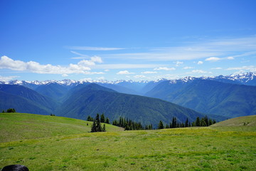 Beautiful snow capped mountains in Olympic National Park in summer in  Washington, near Seattle