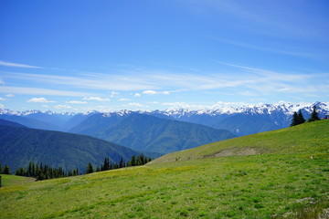 Beautiful mountains in Olympic National Park in summer in Washington, near Seattle	