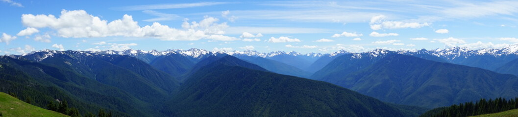 Fototapeta premium Beautiful snow capped mountains in Olympic National Park in summer in Washington, near Seattle