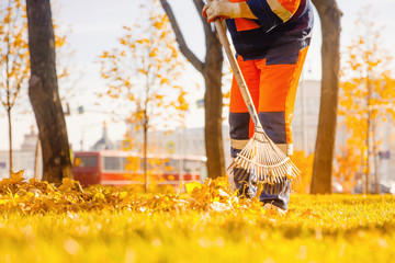 Leaf blower Male worker removes leaves lawn of garden autumn