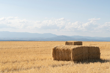 Fototapeta premium Field of cereals mowed with straw bales and mountains in the distance
