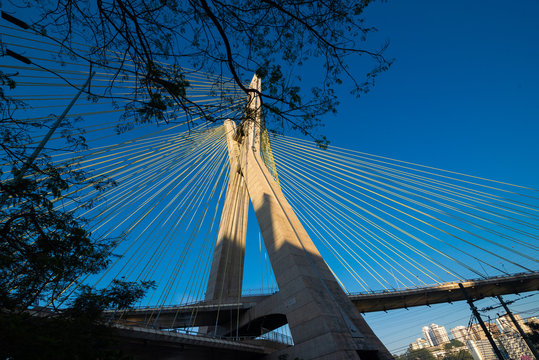 Ponte Octávio Frias de Oliveira