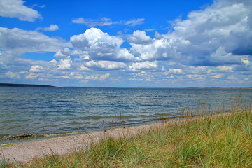 The estuary shore is on a slightly cloudy summer day.