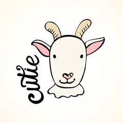 Cute little goat