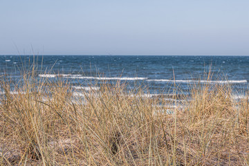 the beach of the Baltic Sea wind and swell