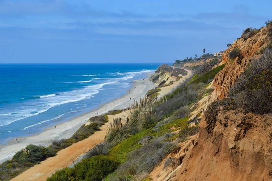 Beautiful landscape of the ocean coastline at Torrey Pines State Reserve; the many natural greens and browns of the shore contrast with the saturated blue sky and sea