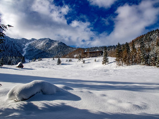 Fototapeta na wymiar Landscape of beautiful winter.