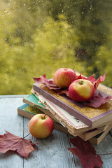 a stack of old books and apples with maple leaves on a wooden gray background near a wet window. Autumn still life.