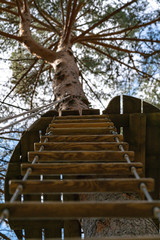 Rope ladder hanging from wooden platform on tree