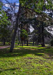 park landscape