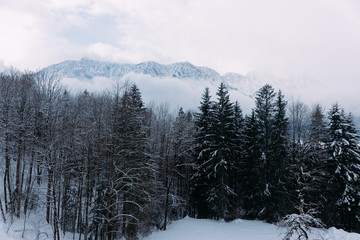 Scenery with snowy winter landscape Bad Goisern Austria Alpine mountains