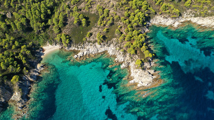 Plakat Aerial drone photo of secluded turquoise sandy beaches of South Sithonia peninsula, Halkidiki, North Greece