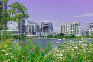 Landmark view at modern buildings near the Humber Bay Park in Etobicoke, Ontario, Canada