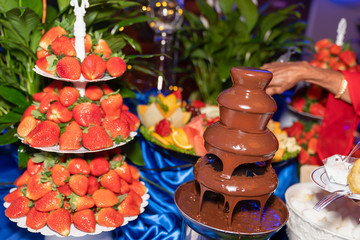 Chocolate strawberrie fountian