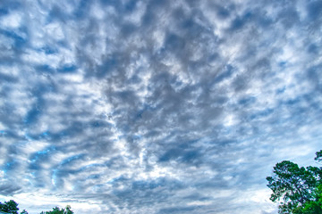 Obraz premium Sunrise on the Ashley River