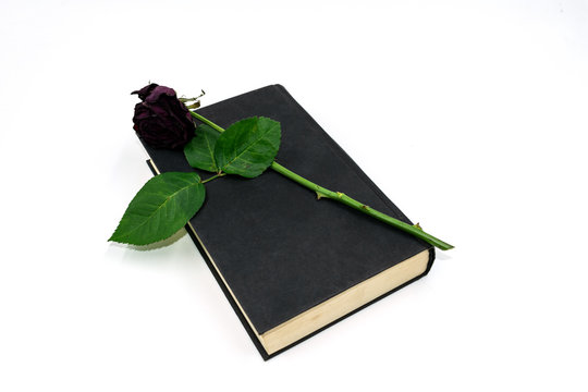 vertrocknete Rose auf einem schwarzen Buch