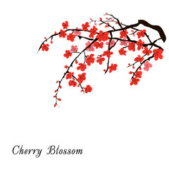 Sakura blossoming branch. Chinese or Japanese traditional painting. Vector
