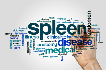 Spleen word cloud concept