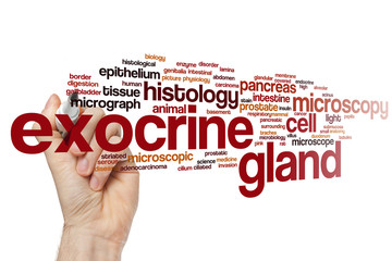 Exocrine gland word cloud