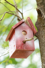 Little red Bird house