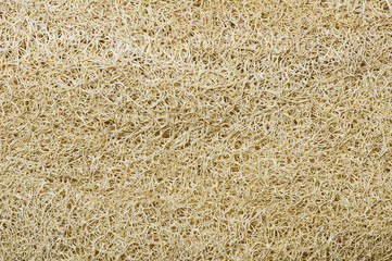 Dried luffa gourd fiber for bath textured background, bath pouch, loofah, loofa