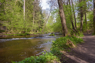 Fototapeta na wymiar Path at the Tanew river in nature reserve Nad Tanwia