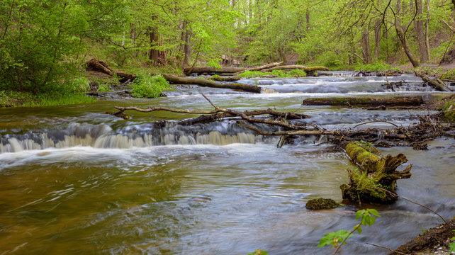 Tanew river in nature reserve Nad Tanwia