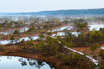 Fototapeta premium Scenic view from swamp with wooden path