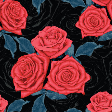 Seamless pattern beautiful red Rose flowers on abstract black background.Vector illustration hand drawing line art.