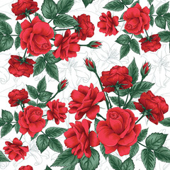 Seamless pattern beautiful red Rose flowers and Lilly blue dark background.Vector illustration hand drawing line art.