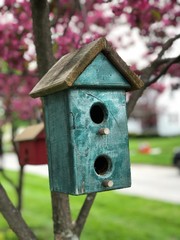 Birdhouse on Boulevard