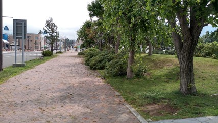 木 石道路