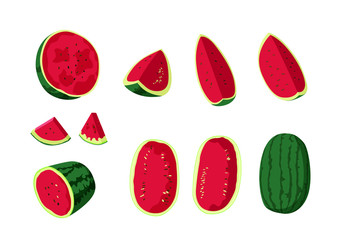 watermelon fruit fresh on white background illustration vector 