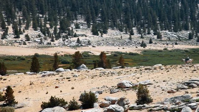 Horse rider strolls through Inyo National Forest in California, March 2016