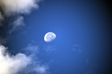 Moon in Morning 