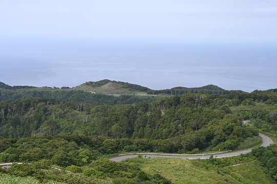 cape tapi in summer