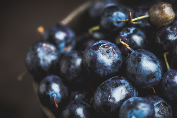 Freshly harvested blueberries in metal cup. Selective focus. Shallow depth of field.