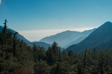 Obraz premium Blue Mountains 2