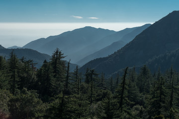 Fototapeta premium Blue Mountains 1