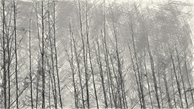 art drawing black and white of dry tree in nature garden