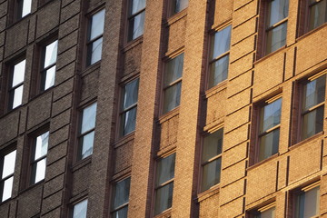 Fototapeta premium windows office building