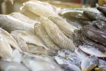 Various type of seafood fish sell in fresh seafood market