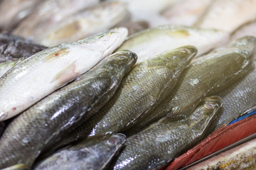 Various type of seafood fish sell in fresh seafood market