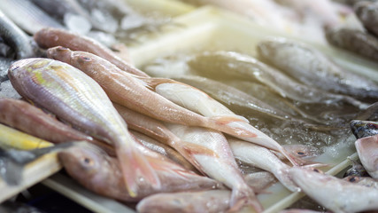 Various type of seafood fish sell in fresh seafood market