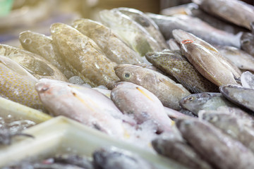 Various type of seafood fish sell in fresh seafood market
