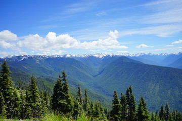 Beautiful mountains in Olympic National Park in summer in Washington, near Seattle	