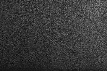 texture of leather
