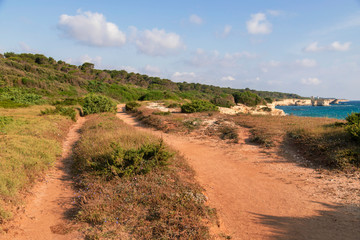 Strada di terra rossa - Salento